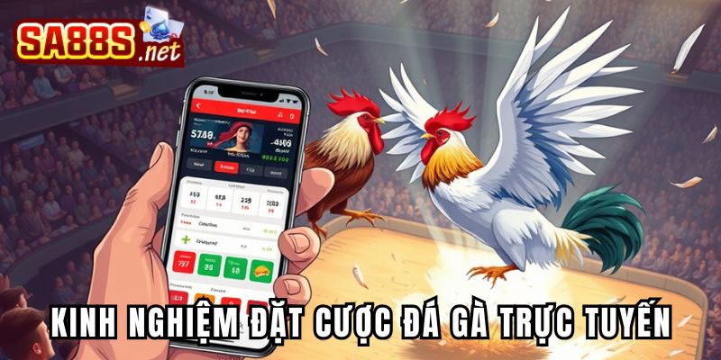 Kinh nghiệm đặt cược đá gà trực tuyến dễ ăn tiền nhất
